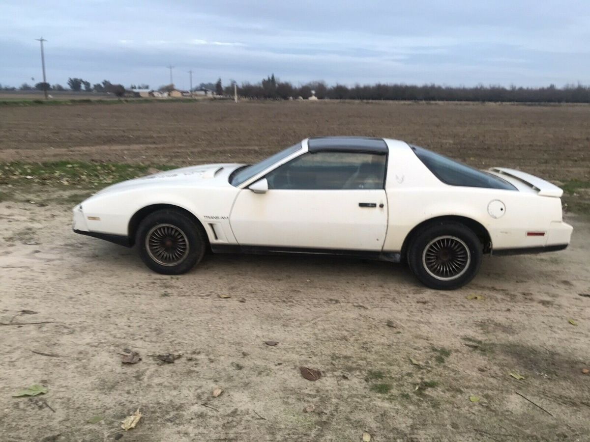 1984 Pontiac Firebird TRANS AM - photo 2