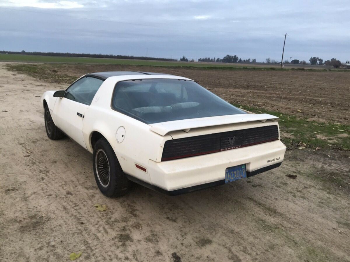 1984 Pontiac Firebird TRANS AM - photo 3