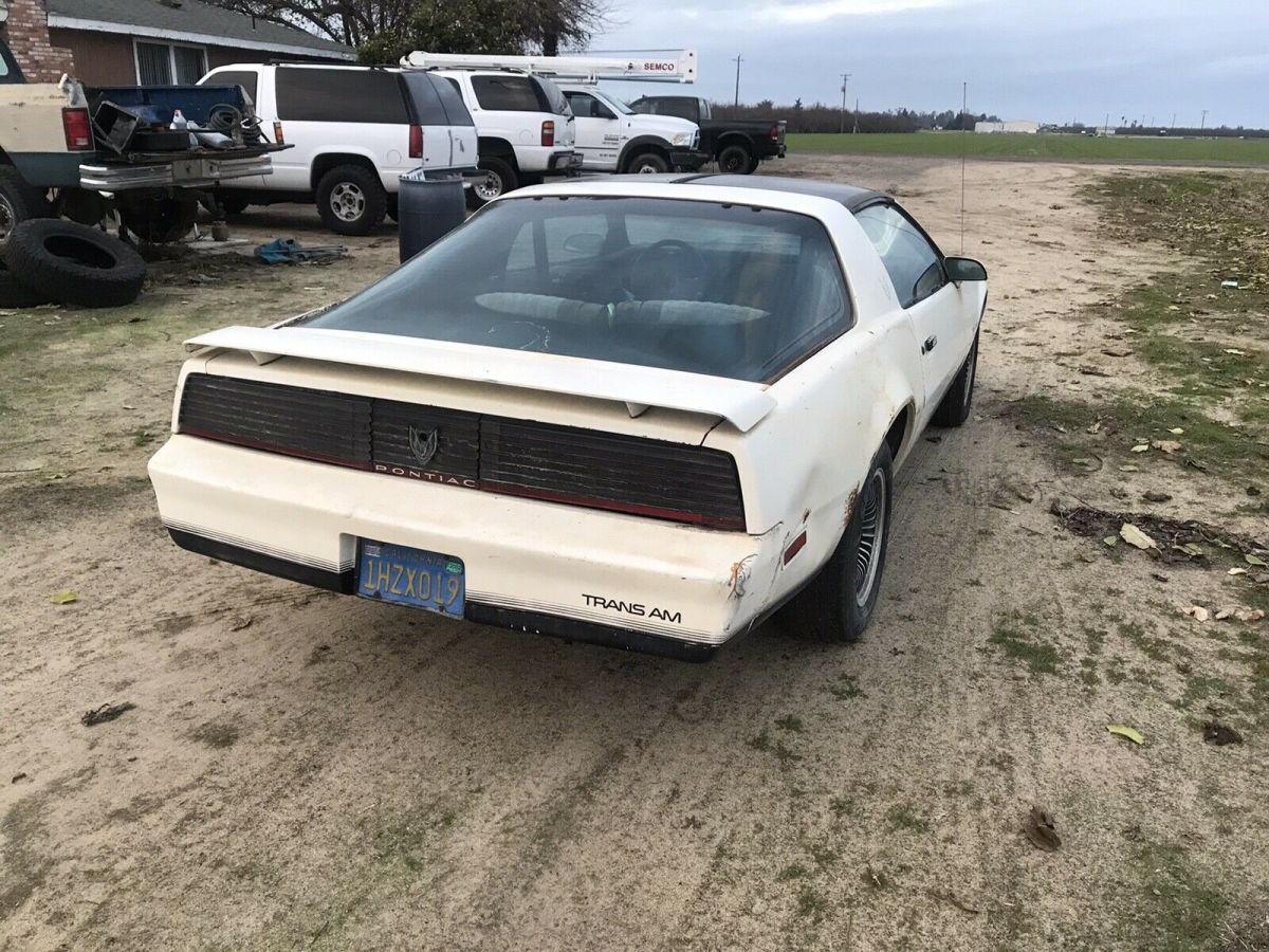 1984 Pontiac Firebird TRANS AM - photo 4