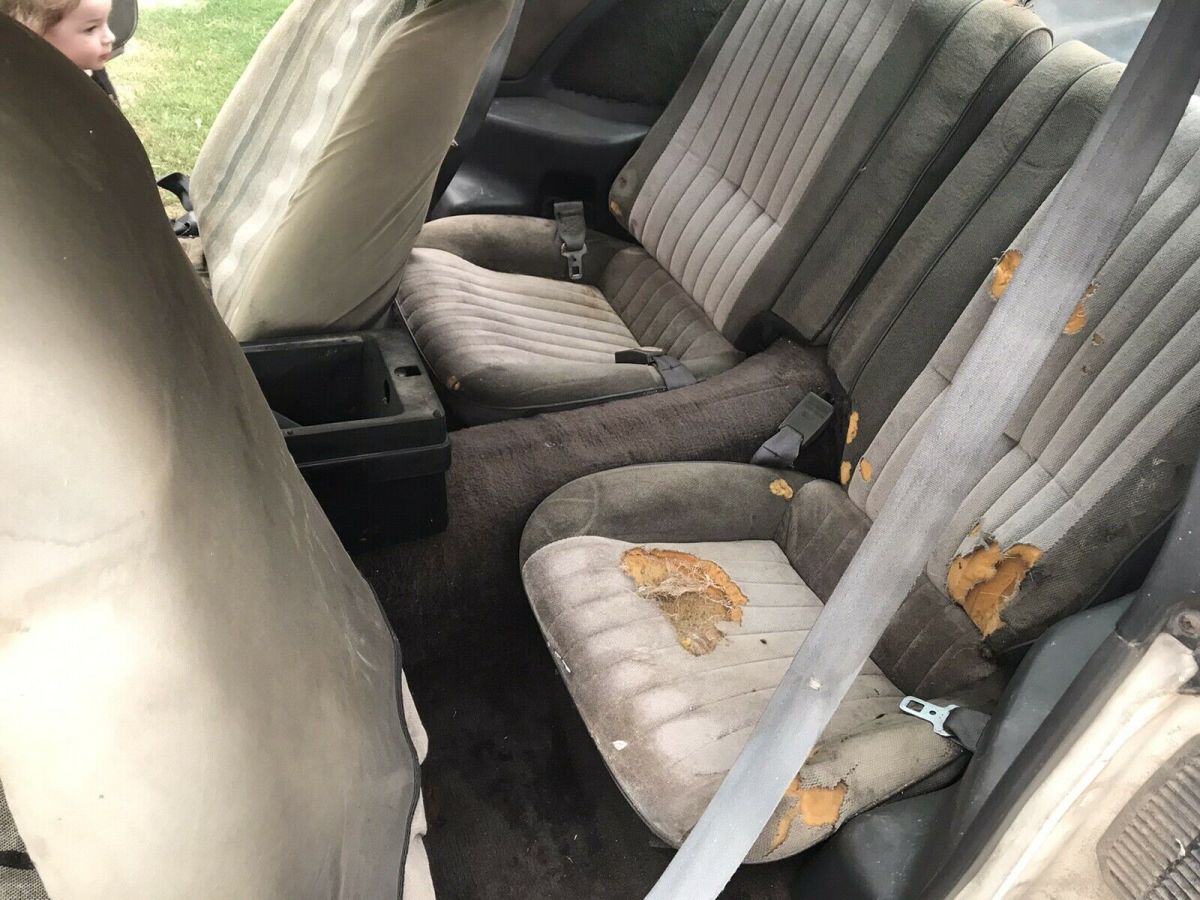 1984 Pontiac Firebird TRANS AM - photo 7