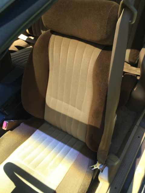 1984 Pontiac Firebird - photo 12