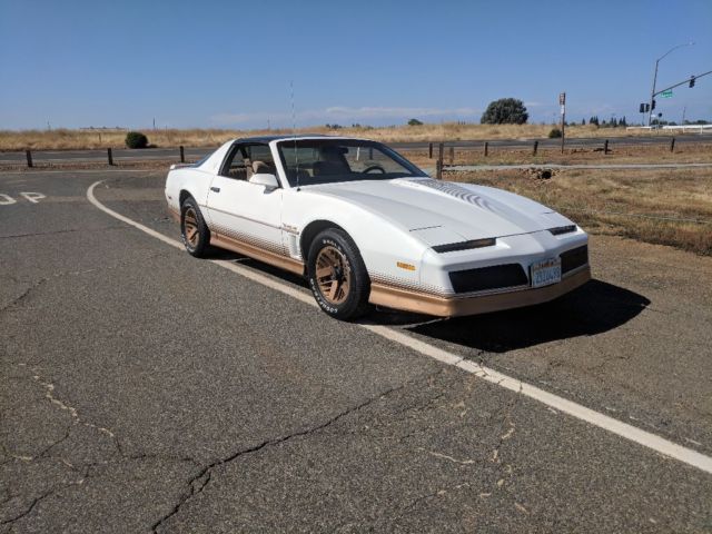 1984 Pontiac Firebird Trans AM