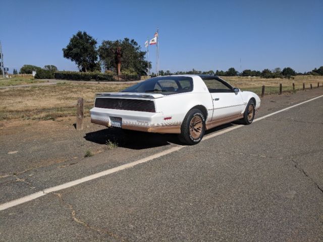 1984 Pontiac Firebird Trans AM - photo 3