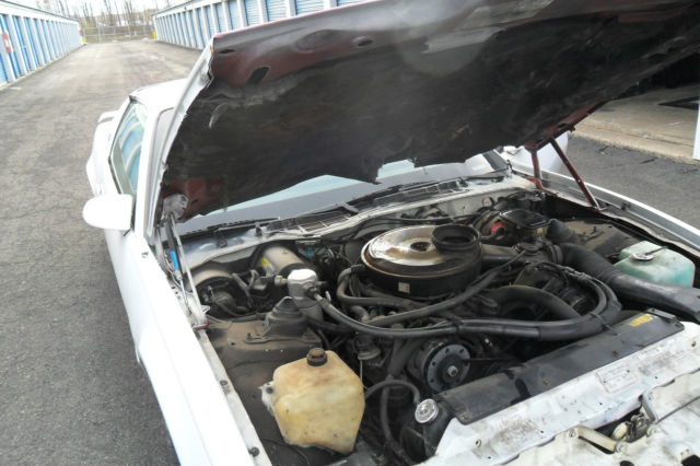 1984 Pontiac Firebird TRANS AM COUPE 2 - DOOR 15TH ANNIVERSARY - photo 3