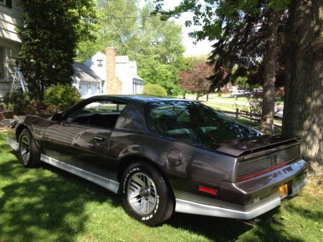 1984 Pontiac Firebird - photo 2