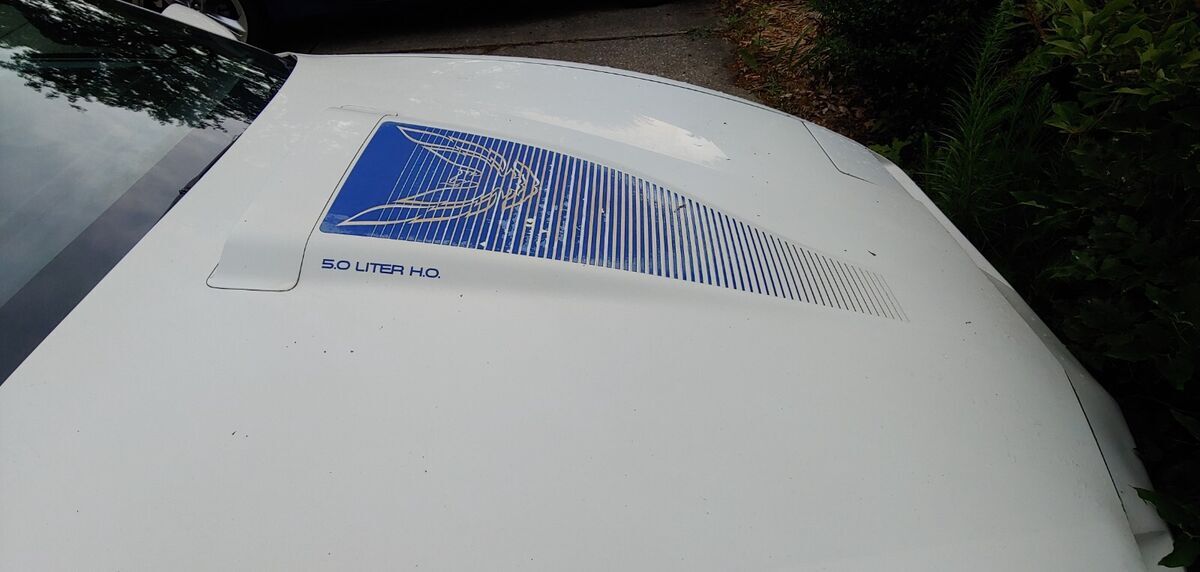 1984 Pontiac Firebird TRANS AM - photo 5