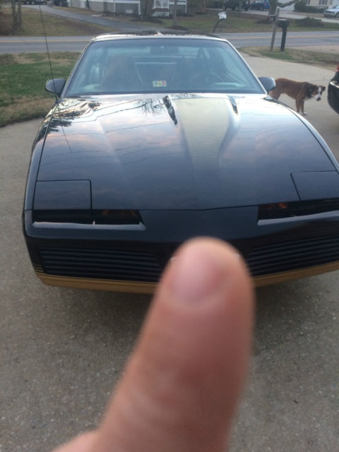 1984 Pontiac Firebird Trans Am Firebird Coupe 2-Door - photo 3