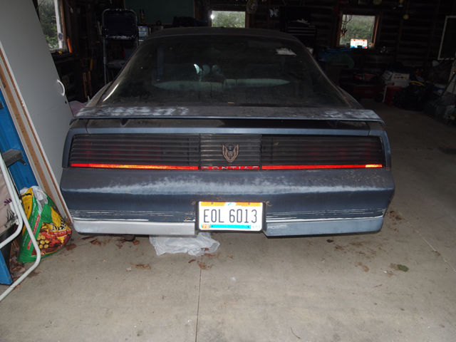 1984 Pontiac Trans Am - photo 12