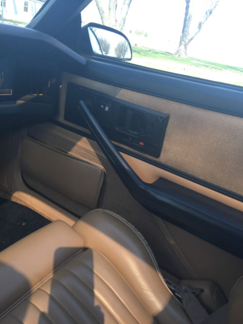 1984 Pontiac Firebird - photo 10