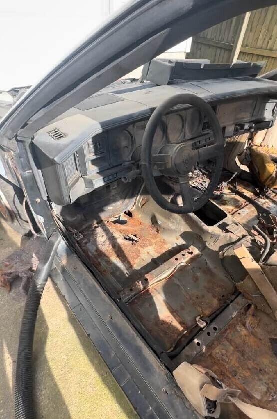 1984 Pontiac Firebird - photo 13