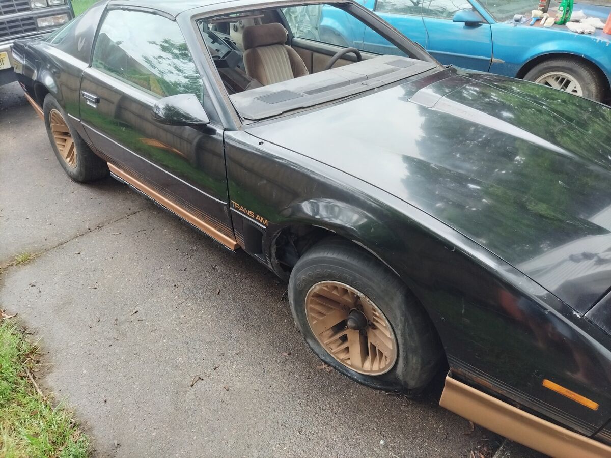 1984 Pontiac Firebird - photo 3