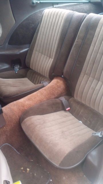 1984 Pontiac Trans Am FIREBIRD TRANS AM - photo 11