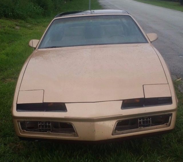 1984 Pontiac Trans Am FIREBIRD TRANS AM - photo 4
