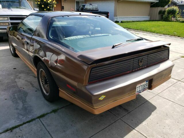 1984 Pontiac Firebird - photo 11