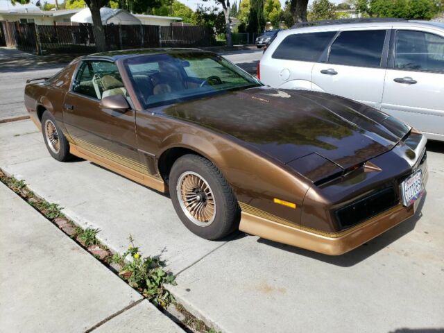 1984 Pontiac Firebird - photo 12