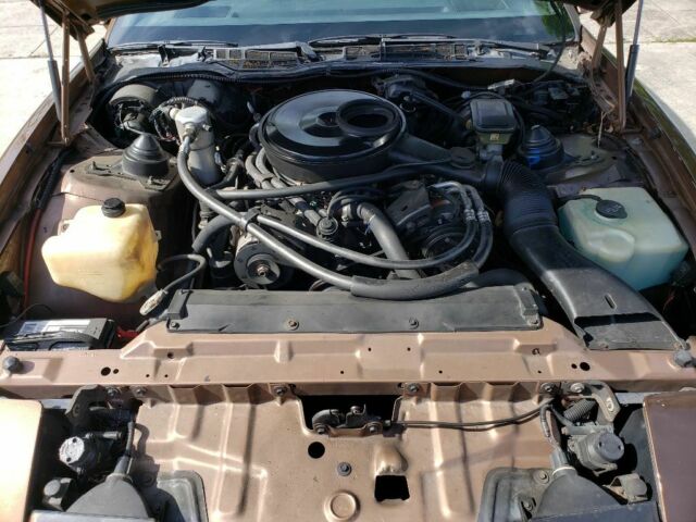 1984 Pontiac Firebird - photo 3