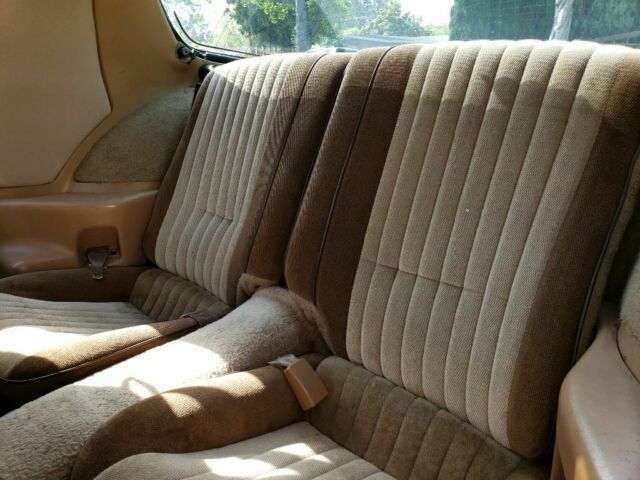1984 Pontiac Firebird - photo 5
