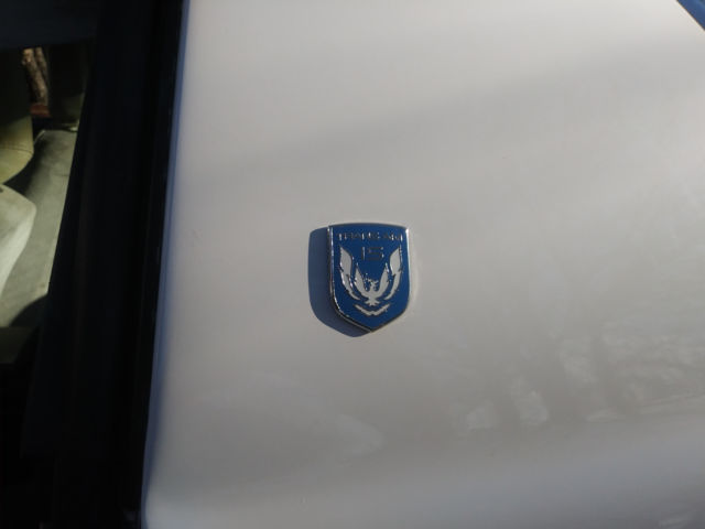 1984 Pontiac Trans Am 15th Anniversary - photo 11