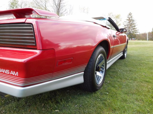 1984 Pontiac Trans Am - photo 10