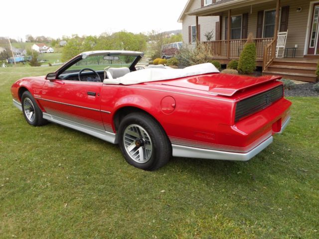 1984 Pontiac Trans Am - photo 3