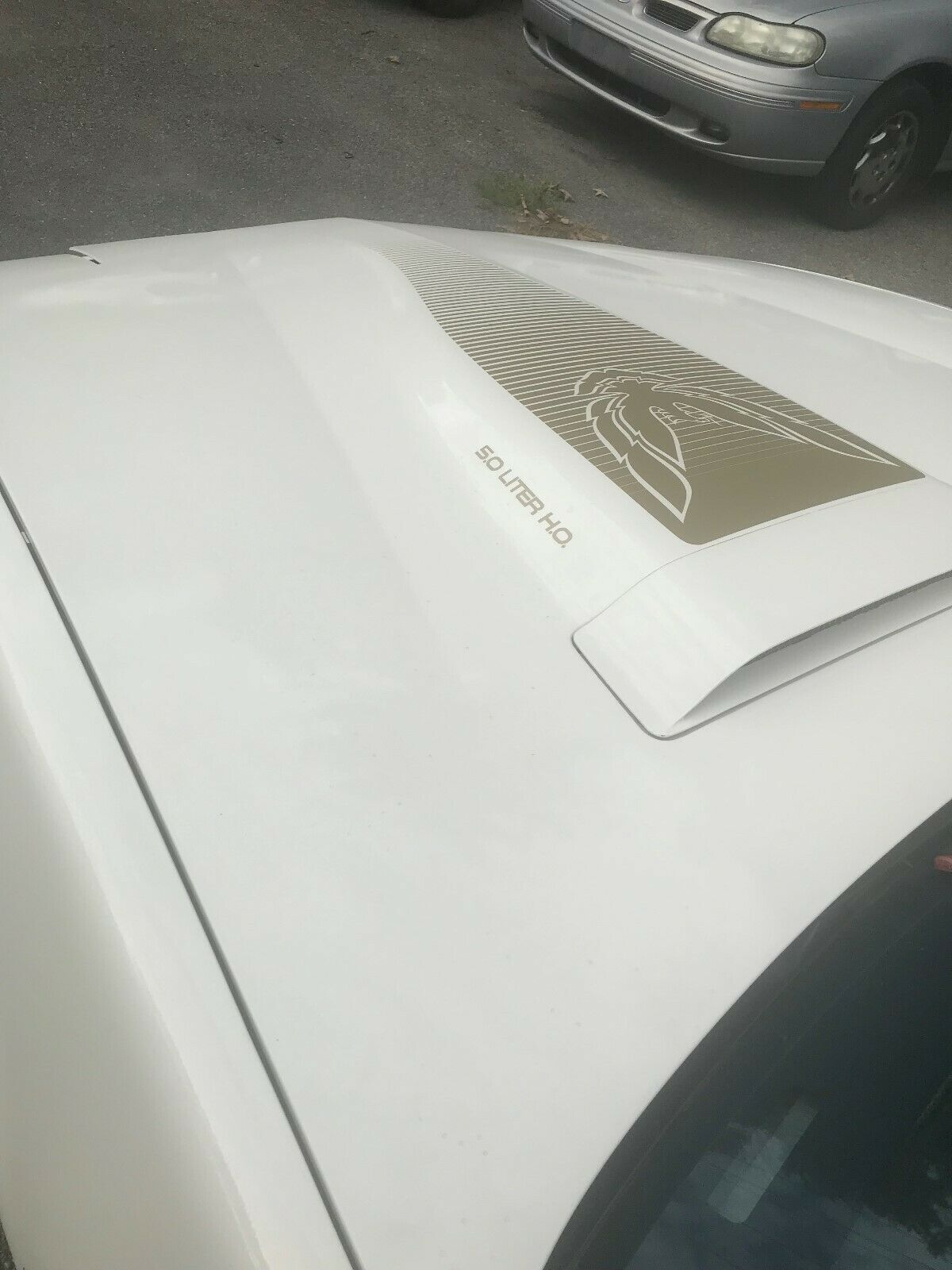 1984 Pontiac Trans Am TRANS AM - photo 2