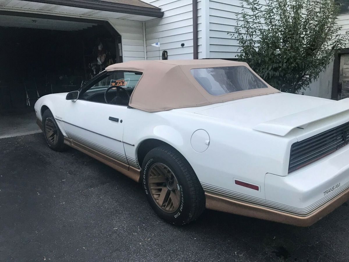 1984 Pontiac Trans Am TRANS AM - photo 3