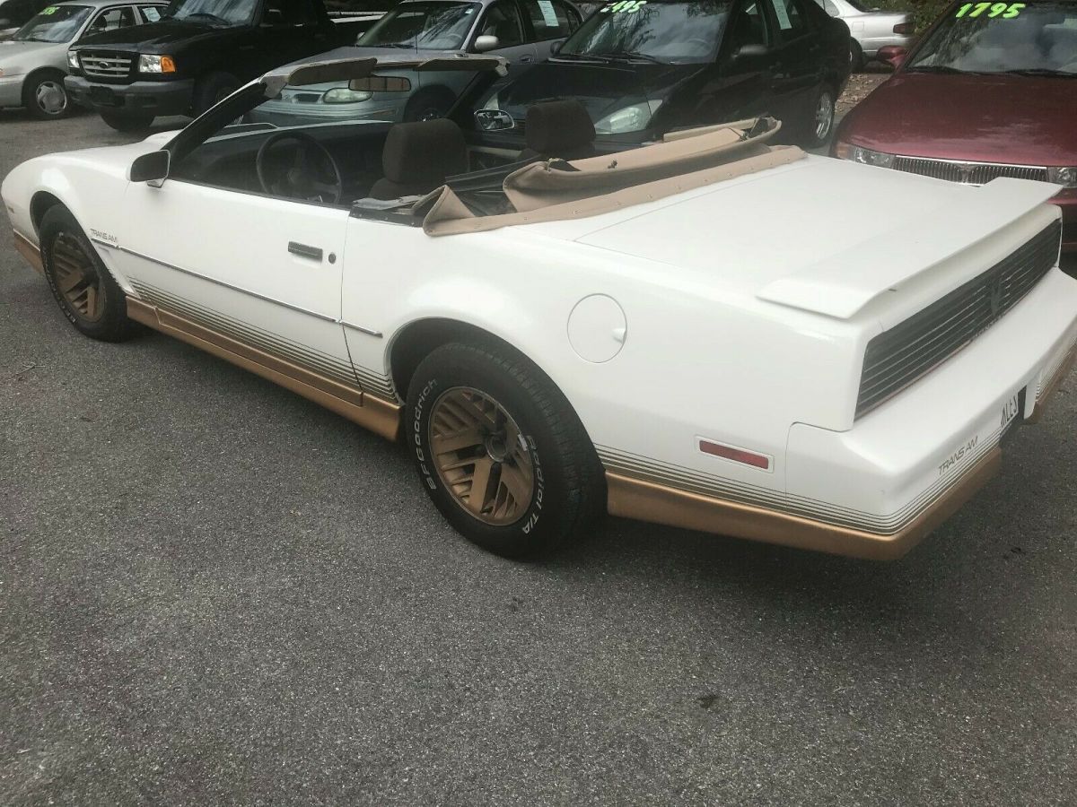 1984 Pontiac Trans Am TRANS AM - photo 4