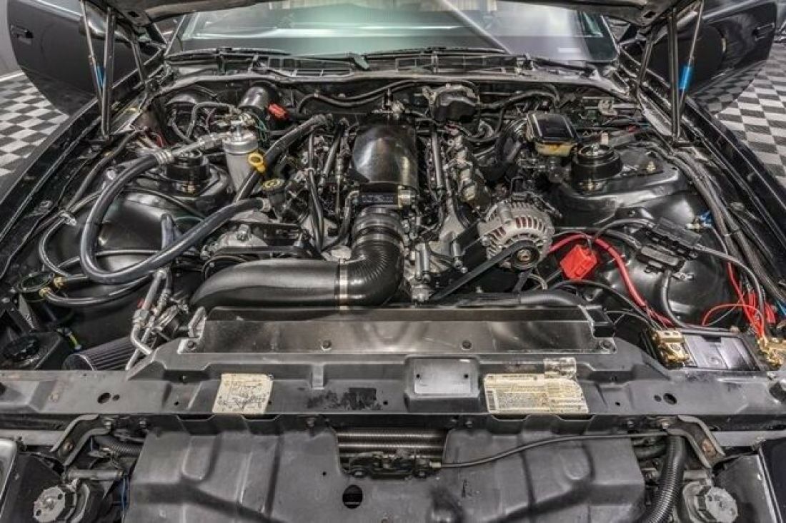 1984 Pontiac Trans Am FIREBIRD - photo 10