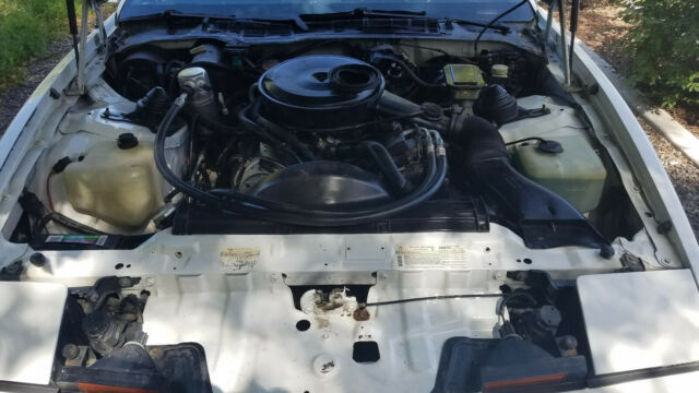 1984 Pontiac Trans Am Trans Am - photo 10