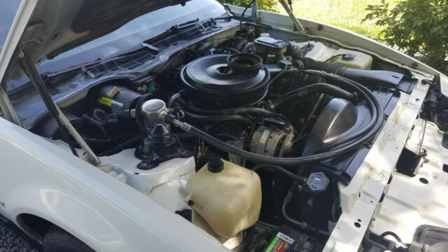 1984 Pontiac Trans Am Trans Am - photo 11