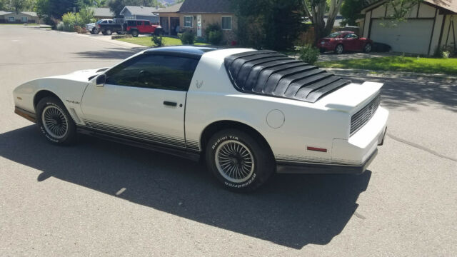 1984 Pontiac Trans Am Trans Am - photo 2