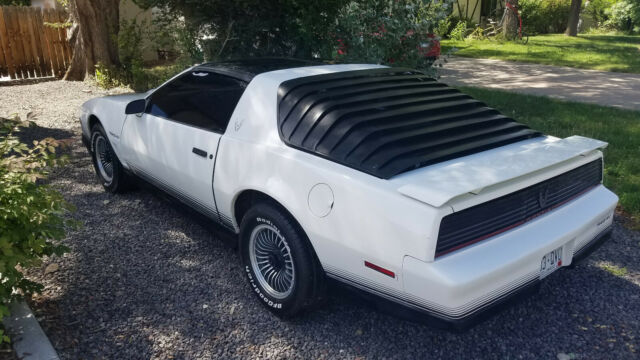 1984 Pontiac Trans Am Trans Am - photo 3