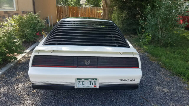 1984 Pontiac Trans Am Trans Am - photo 5