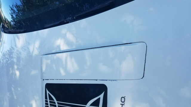 1984 Pontiac Trans Am Trans Am - photo 9