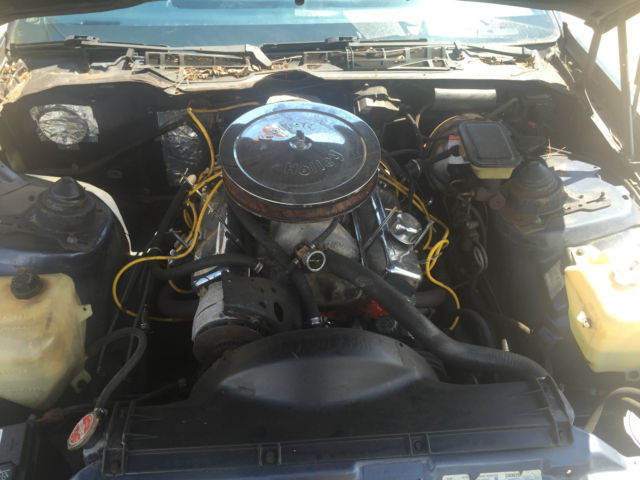 1984 Pontiac Trans Am - photo 8