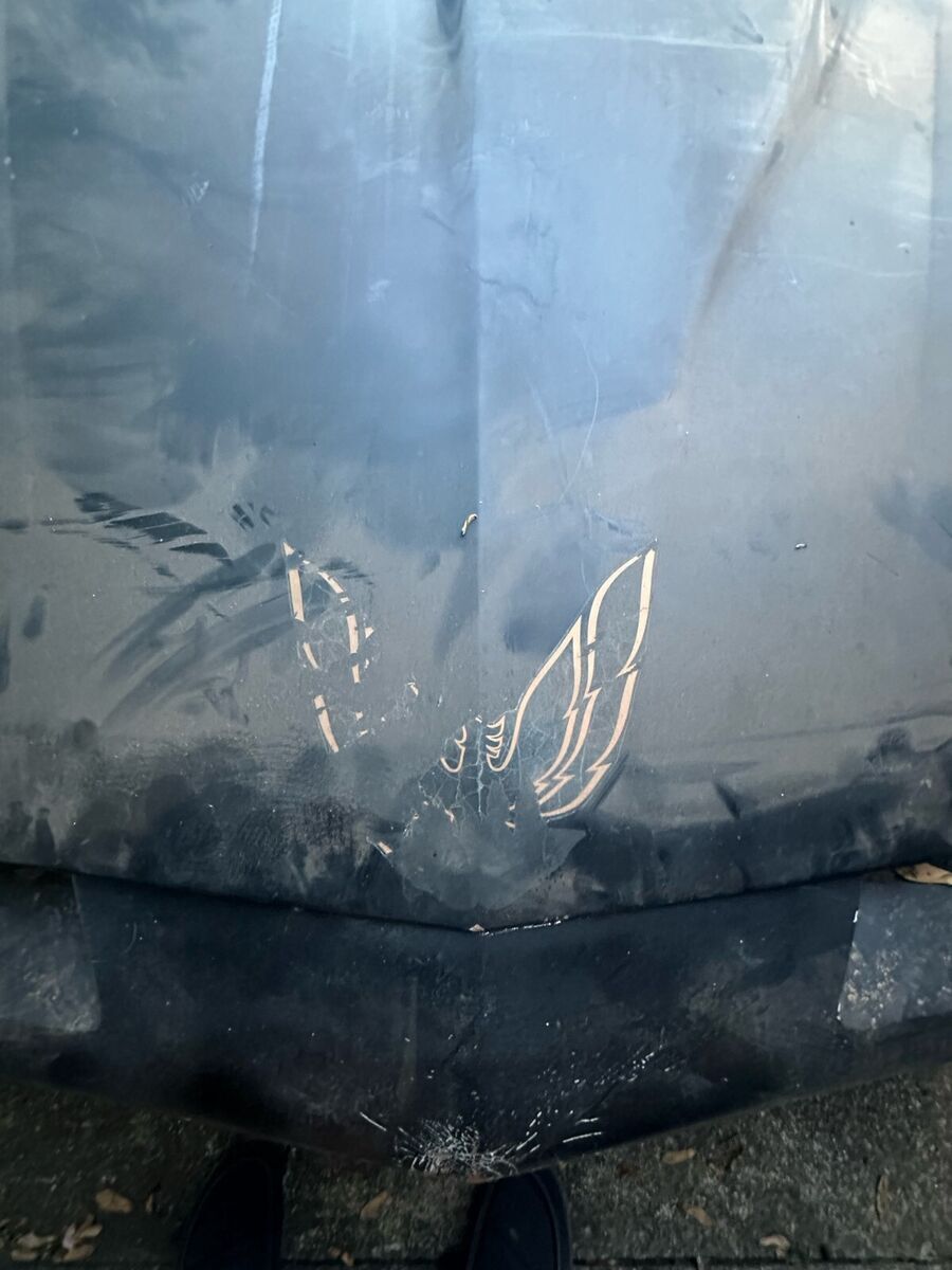 1984 Pontiac Firebird - photo 11