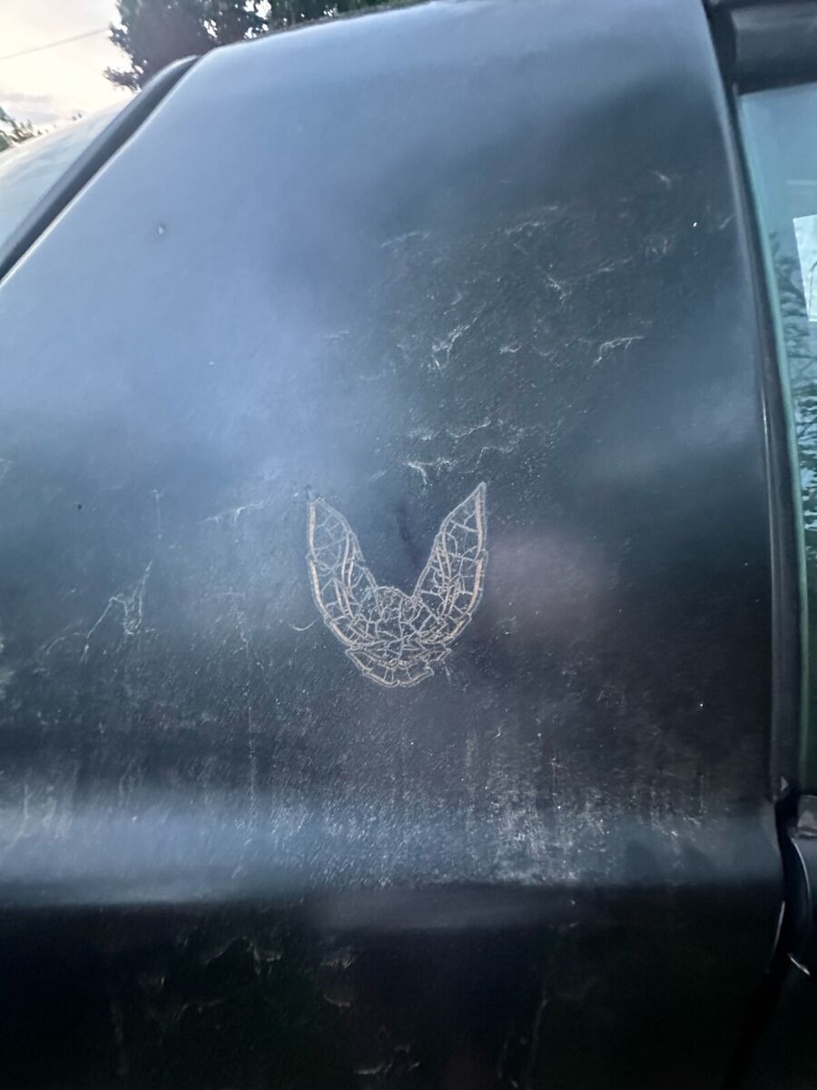 1984 Pontiac Firebird - photo 12