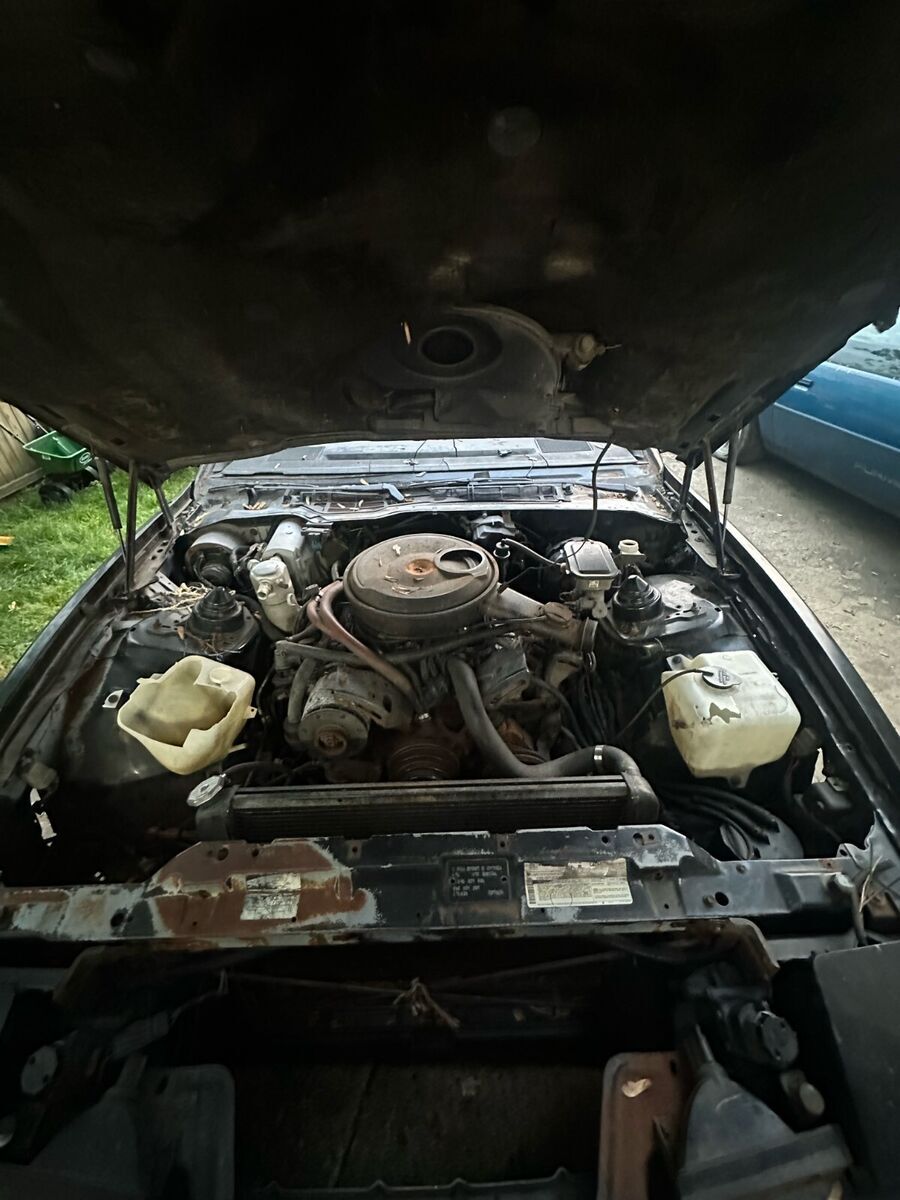 1984 Pontiac Firebird - photo 3