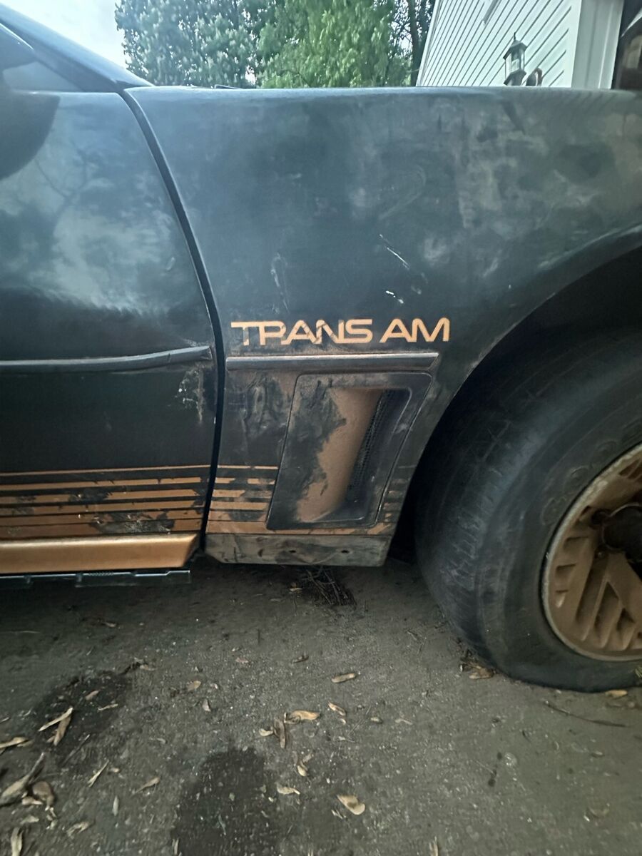 1984 Pontiac Firebird - photo 4