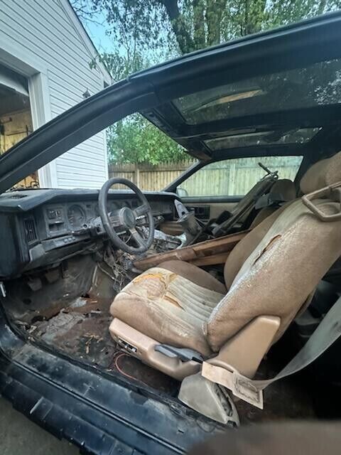 1984 Pontiac Firebird - photo 5