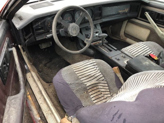 1984 Pontiac Trans Am - photo 13