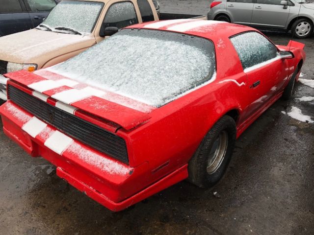 1984 Pontiac Trans Am - photo 6