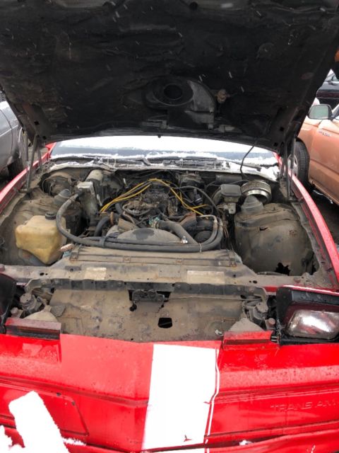 1984 Pontiac Trans Am - photo 8