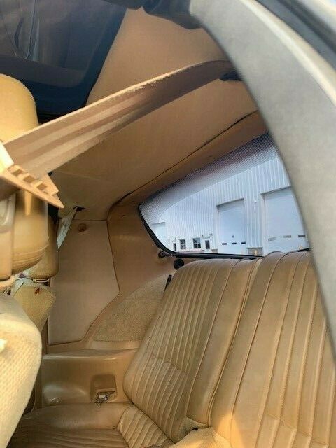 1984 Pontiac Firebird Trans Am - photo 10