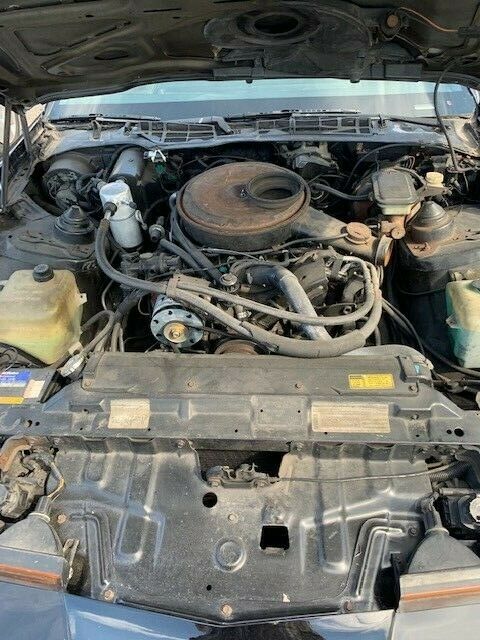 1984 Pontiac Firebird Trans Am - photo 5