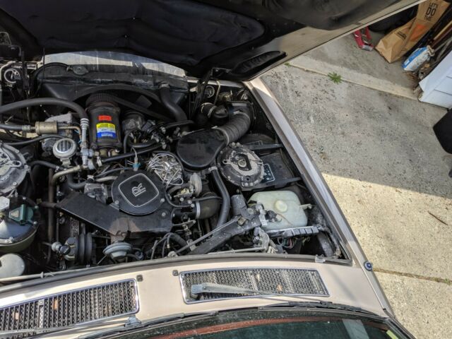 1984 Rolls-Royce Silver Spirit/Spur/Dawn - photo 6