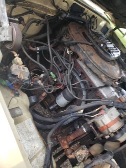 1984 Toyota Land Cruiser - photo 10