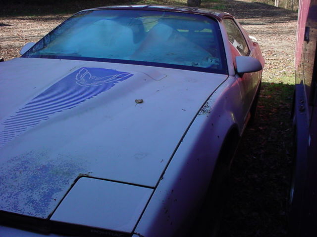 1984 Pontiac Trans Am - photo 2