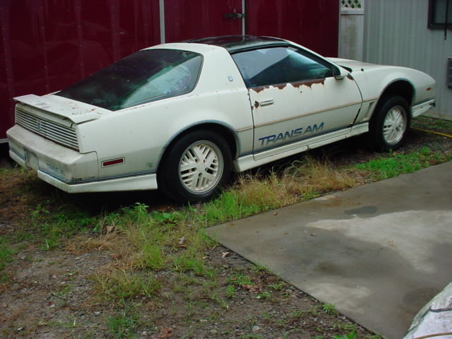 1984 Pontiac Trans Am - photo 6