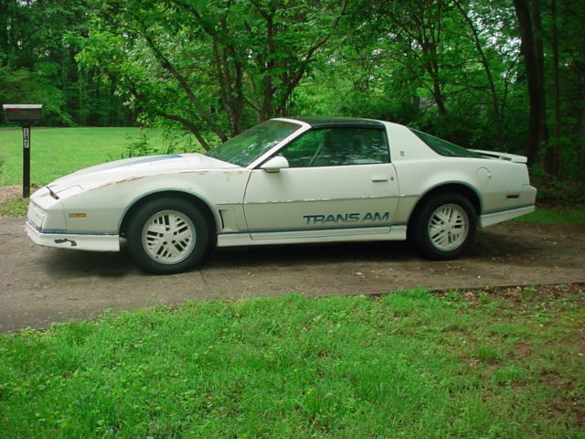 1984 TRANS AM 15TH ANNIVERSARY EDITION not 1970 1971 1977 1979 1984 Pontiac Trans Am